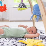 Melissa & Doug Ocean Easy-Fold Play Gym