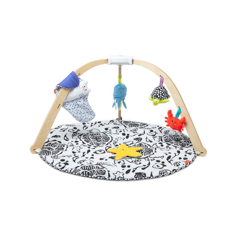 Melissa & Doug Ocean Easy-Fold Play Gym