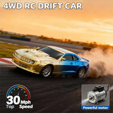 RC Painted Car Model Multicoloured